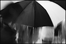 rain_poetry_2-016.jpg